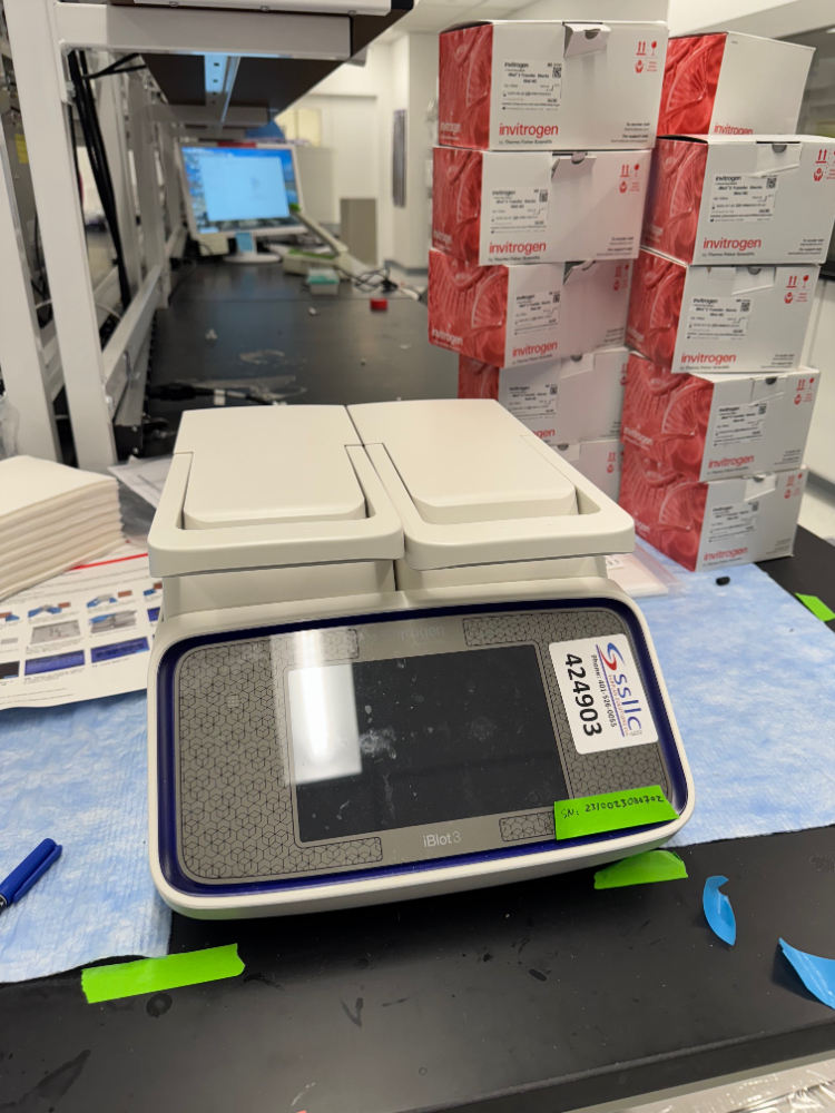 Image of Invitrogen iBlot 3 Device